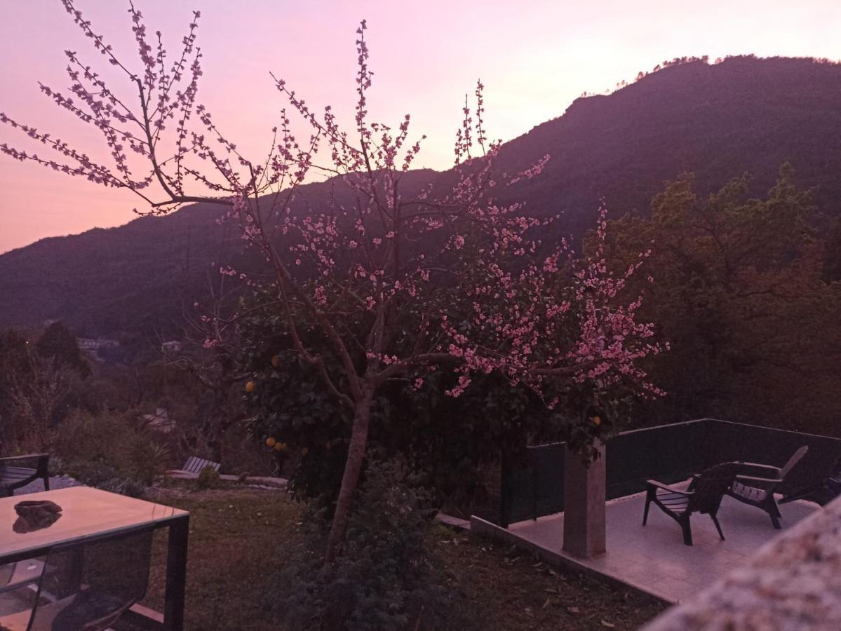Apartmán Casinhas Da Lu Geres Exteriér fotografie